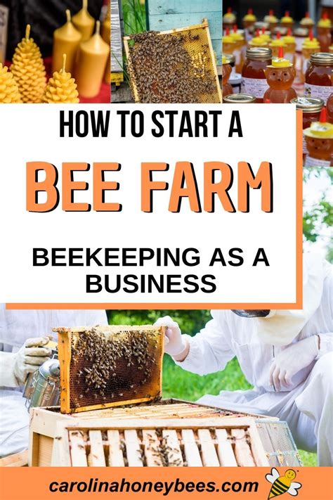 Bee Farming Business